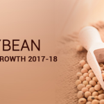 soyabean-positive-growth