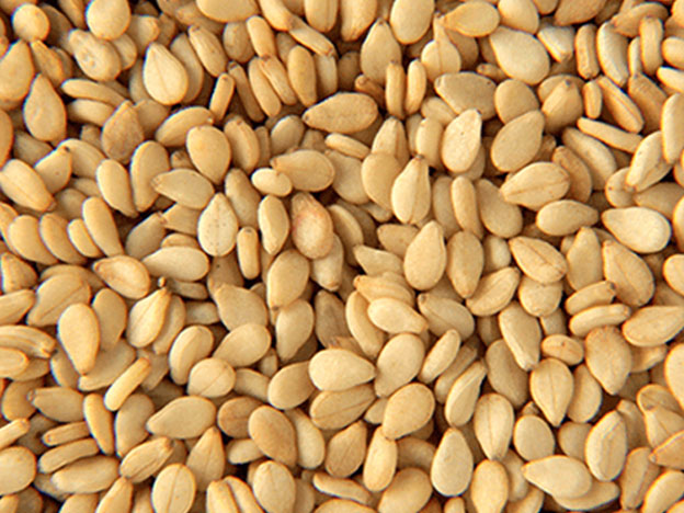 Sesame Suppliers, Sesame Exporters