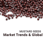 Mustard-Seeds-Market-trends-Global-demand