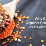 Why Choose Organic Products India As A Lentil Supplier