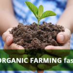 organic farming by organic products manufacturers in India