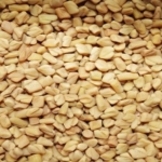Fenugreek Suppliers | Organic Products Of India