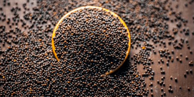 10 Unknown facts about Mustard