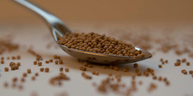 Ways to consume mustard seeds