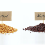 Mustard Suppliers in India