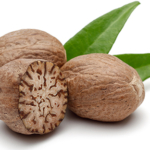 Nutmeg Exporters in India