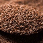 Health Benefits of Organic Psyllium Seeds