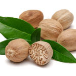 The Role of Nutmeg in Traditional Medicine