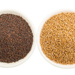 Mustard Seed Manufacturers
