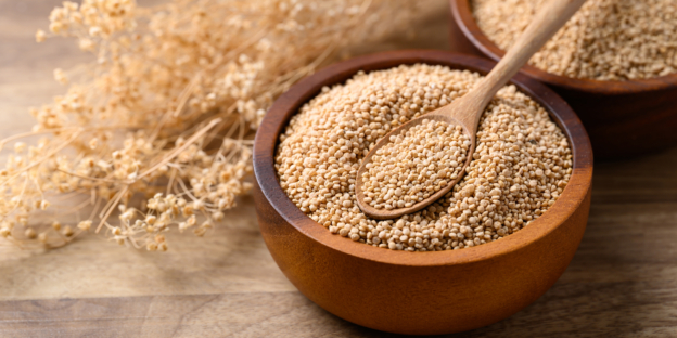quinoa suppliers in india